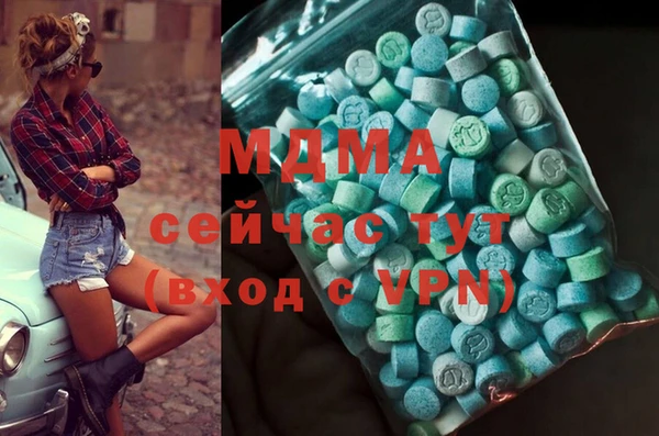индика Армянск
