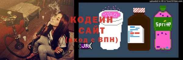 индика Армянск
