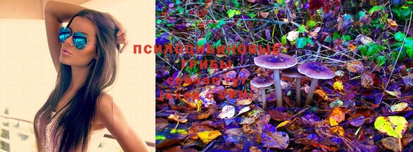 индика Армянск