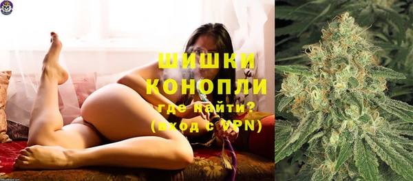 индика Армянск